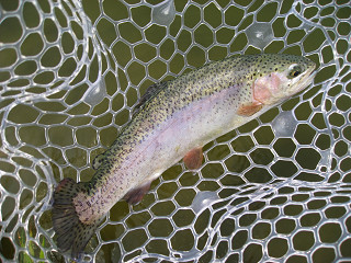 f0065341_1831136.jpg