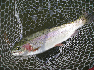f0065341_1833357.jpg