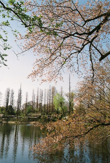 a0009142_1882910.jpg