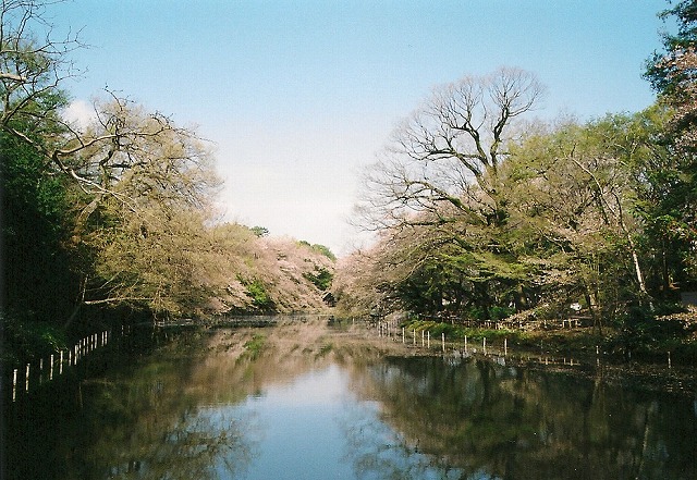 a0009142_1883997.jpg