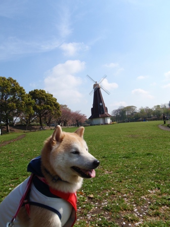 b0080342_22173380.jpg