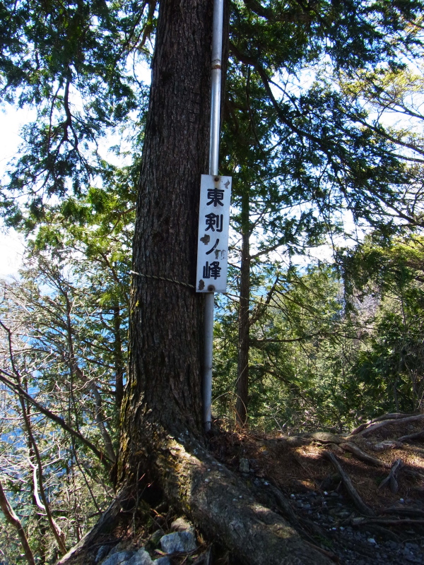 b0190242_12105022.jpg