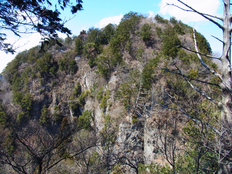 b0190242_12152971.jpg