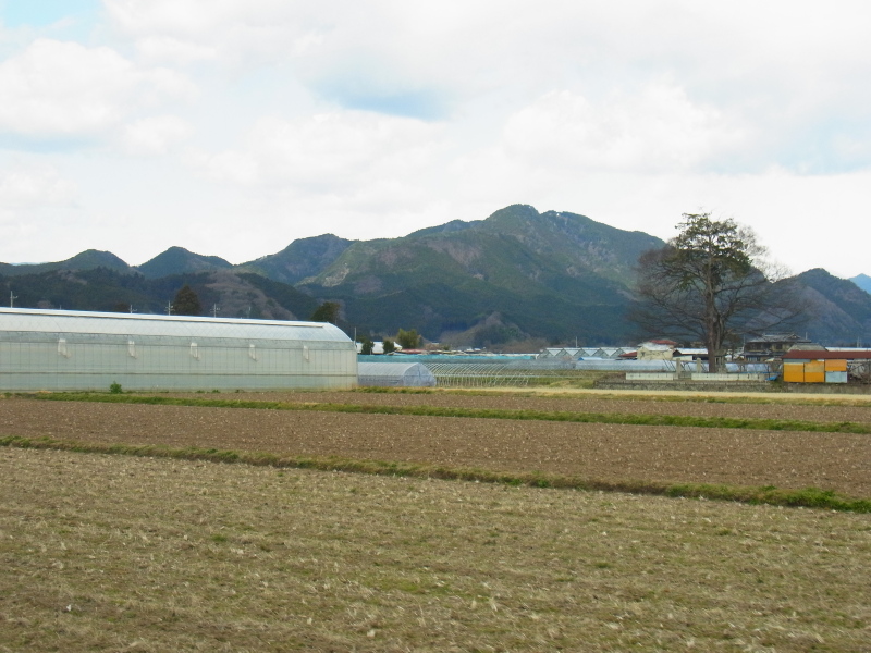 b0190242_121629.jpg