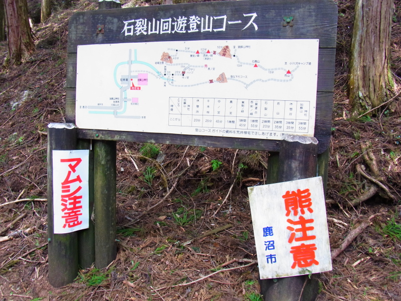 b0190242_1222884.jpg