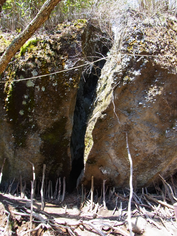 b0190242_12354426.jpg