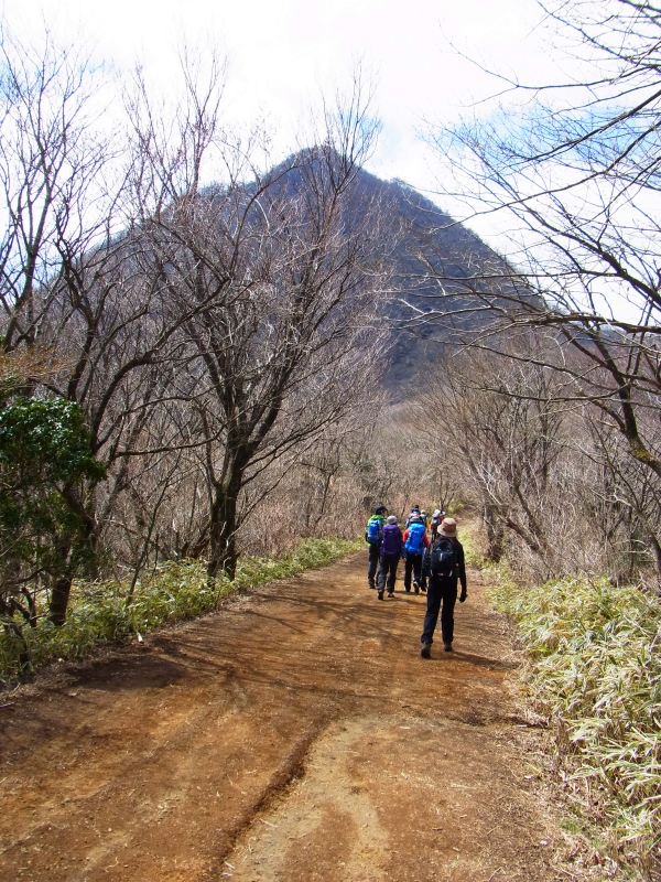 b0190242_12372242.jpg