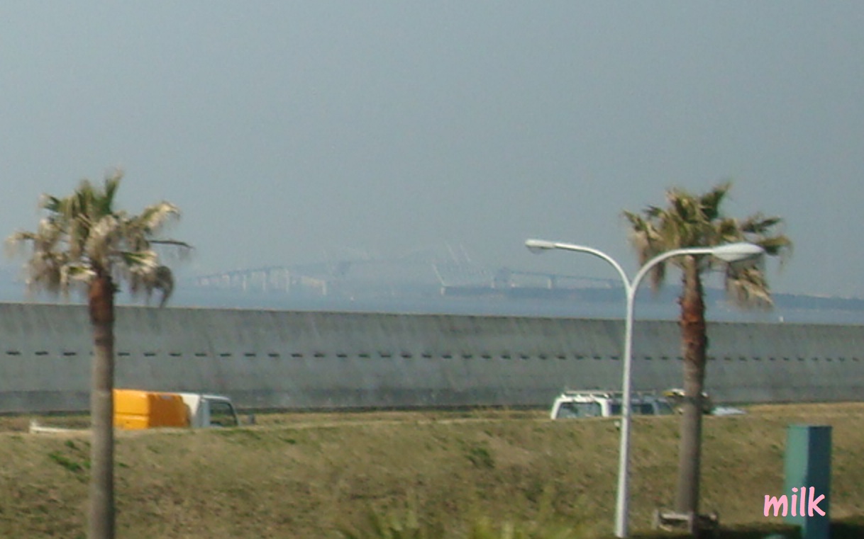 b0149445_125497.jpg