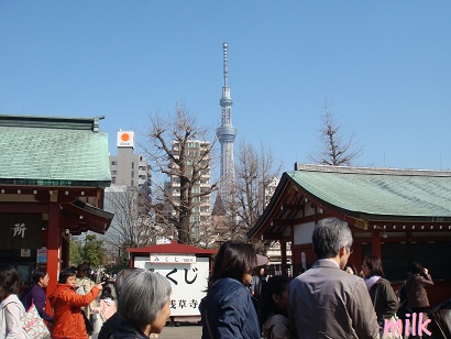 b0149445_353848.jpg
