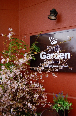 e0025655_661567.jpg