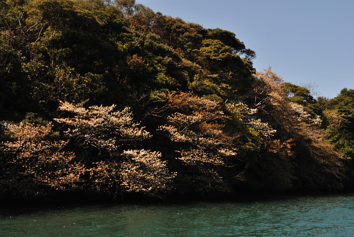 f0209256_2224363.jpg