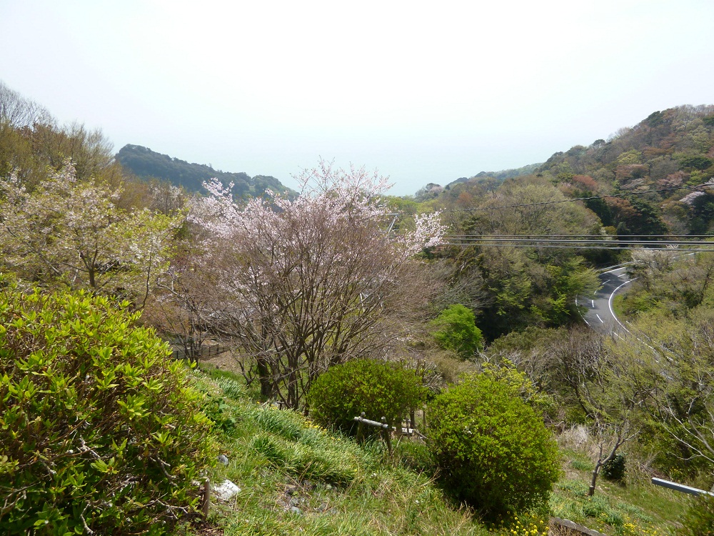 a0193457_1594860.jpg