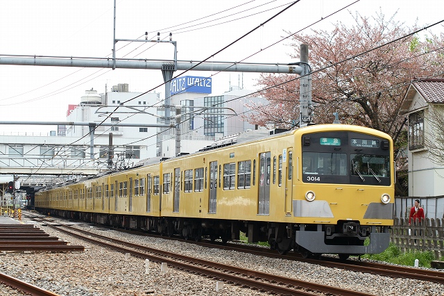 b0002858_23271626.jpg