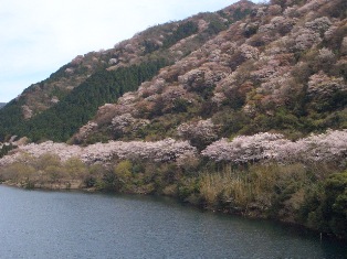 b0246758_22463512.jpg
