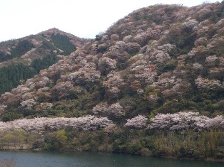 b0246758_22465278.jpg