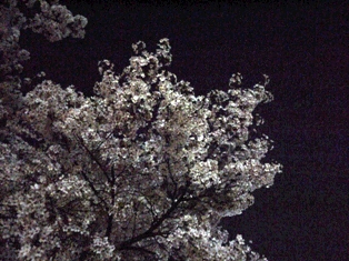 c0089058_0155791.jpg