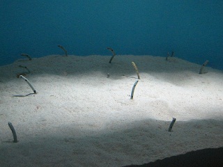 a0121260_13141297.jpg