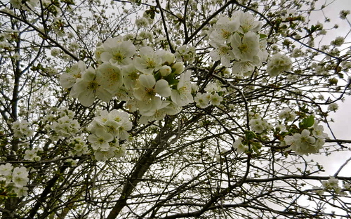b0207361_12515648.jpg