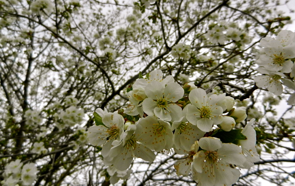 b0207361_12522743.jpg