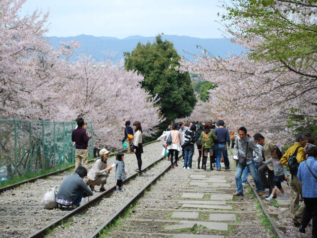 b0089062_22384175.jpg