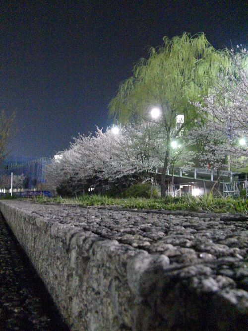 a0140863_22285687.jpg