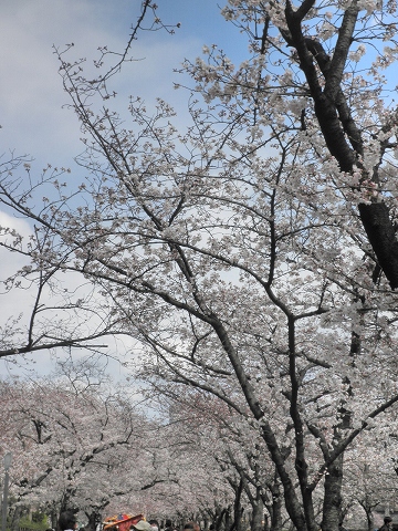 b0145863_045610.jpg