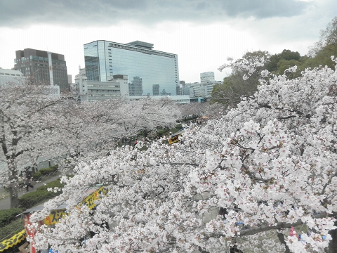 b0145863_051285.jpg