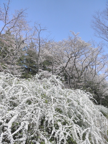 b0145863_18483559.jpg