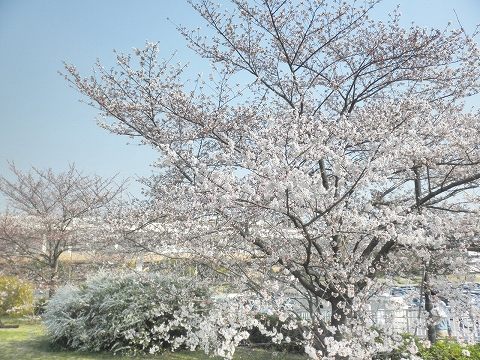 b0145863_19521.jpg