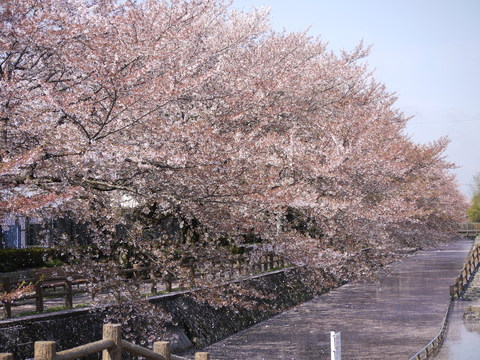 c0185364_18253024.jpg