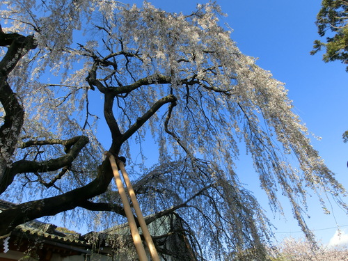 c0171468_20503180.jpg