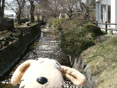 c0158573_12581973.jpg