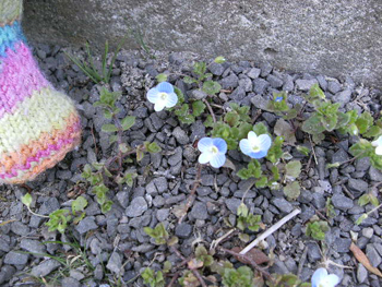 c0158573_1313368.jpg