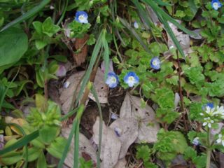 e0060374_22123210.jpg