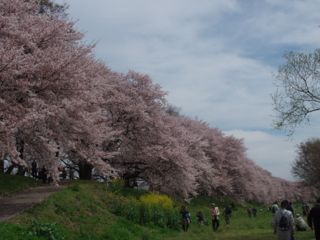 e0060374_22141038.jpg