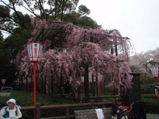 e0060374_22165113.jpg