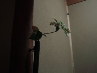 e0060374_22313098.jpg