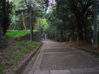 e0060374_22333526.jpg