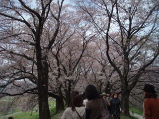 e0060374_2284231.jpg