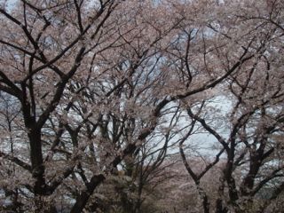 e0060374_2292088.jpg