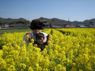c0174077_774251.jpg