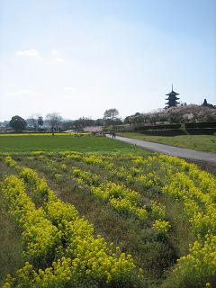c0174077_781072.jpg
