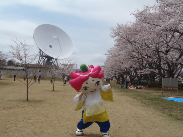 b0197678_1832340.jpg