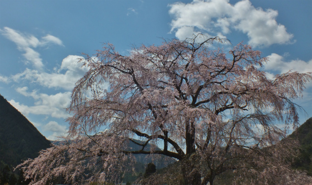 d0245378_712534.jpg