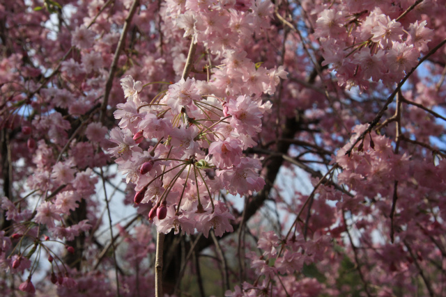 b0003280_23391138.jpg