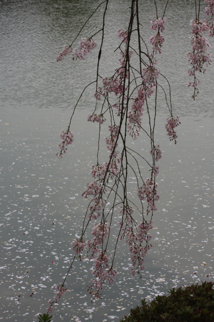 b0003280_23405762.jpg