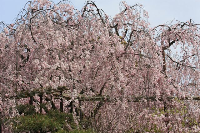 b0003280_2340962.jpg