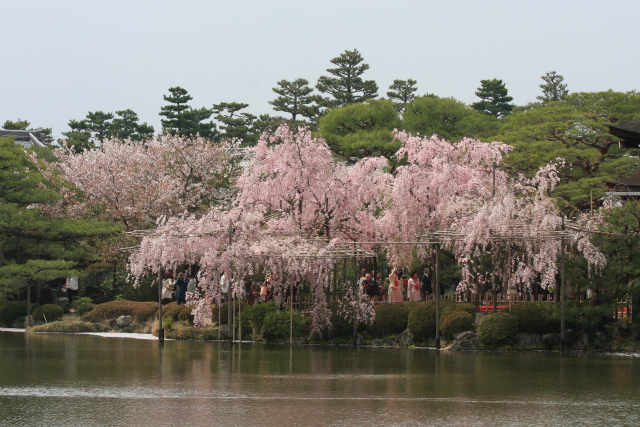 b0003280_23423935.jpg