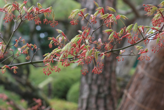 b0003280_23523775.jpg
