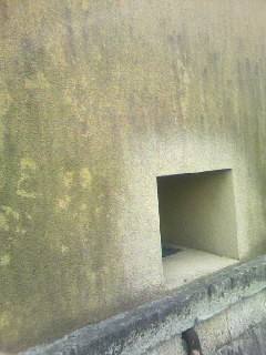 f0100480_1615525.jpg